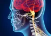Neuro Psychiatry PCD Companies in India | Neuro Medicine Company