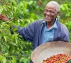 Innovative finance | Sustainable Peace - IIX Global
