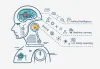 Top Machine Learning Companies in Germany - Artificial Intelligence Development Services in Berlin, Netherlands 