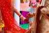 Wedding: The Must-Perfect Details of Indian Wedding