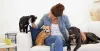 Best Pets Care Service in Noida with Best Price