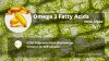 Algae for Omega 3 Fatty Acids