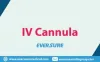 IV Cannula  | Eversure