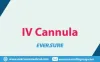 top IV Cannula manufacturers in India | Eversure