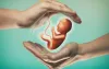 IVF Process – Step By Step Look At The Complete IVF Procedure - Global Magzine