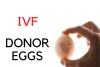 IVF with Donor Eggs Cost, Success Rate and Procedure in India | Pearson News Press
