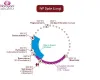IVF Centre in Udaipur Process