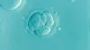 IVF Hospital in Jaipur: Infertility in Indian Scenario: Incidence and Causes