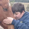Horses and Emotional Regulation - HEAL