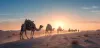 Best Car Hire for Jaisalmer City Tour and Sightseeing