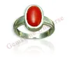 Japanese Coral Stone Price