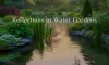 Reflections in Water Gardens: A Guide to Creating Your Oasis