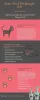 MDX Concepts Jasper Flea & Tick Spray for Cats 