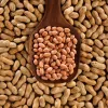 Groundnuts In India