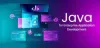 What is Java used for in enterprise?