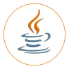 expert Java developer in 6 months