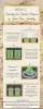 JewelPin - Unveiling the Timeless Elegance of Jade Stone Jewellery