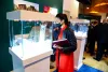 Jewelry Display Stand in Dubai, Abu Dhabi, Sharjah, Al Ain