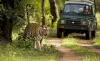 Jim Corbett Safari
