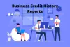 Business Credit History Reports