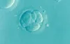 IVF in Aurangabad – Factors To Look For Before Choosing