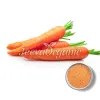 carrot powder, carrot powder uses, organic carrot powder, carrot extract powder, carrot root powder, organic carrot root powder