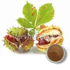 horse chestnuts, chestnut the horse, horse chestnut powder, bulk horse chestnut powder, horse chestnut powder supplier