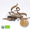 mucuna pruriens powder, organic mucuna pruriens, bulk organic mucuna prurien
