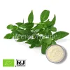 andrographis paniculata powder, bulk andrographis paniculate, bulk andrographis paniculata supplier