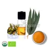 eucalyptus globulus oil, use of eucalyptus globulus oil, eucalyptus globulus oil benifits, organic eucalyptus globulus oil, bulk eucalyptus globulus oil