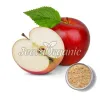 organic apple powder, bulk apple powder, organic apple powder supplier