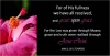 Grace upon Grace - Zarlengo Ministries International
