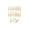 Wooden Pegs