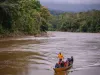 Amazon Jungle Tours From Cusco: Unveiling The Mysteries