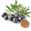 juniper berry powder, juniper berry powder for oily skin, juniper berry powder for face, juniper berry powder benefits, bulk juniper berry powder