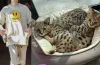 Justin Bieber come hard on PETA for criticizing his $35,000 exotic cats