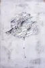 https://www.eranartgallery.com/korosh-ghazimorad