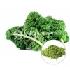 kale powder, organic kale powder, kale powder bulk, wholesale bulk herbs, herbal wholesalers, organic herbs wholesale, organic foods, food industry