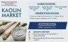 Kaolin Market Size, Share and Demand Report, 2024-2030