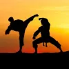 Best Martial Arts Studio in Rancho Santa Margarita | Taekwondo schools 