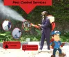 Best Pest Control Services  | Major Pest Control