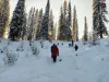 Best Winter Kedarkantha Trek Cost, Detailed Itinerary, Best Time to Visit in 2025 Uttarakhand