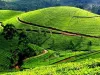 Best Kerala Holiday Packages in India | Kerala Tours India | Kerala Trip