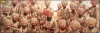 Kesari full movie download,Cast,release date,trailer,songs,budget,review,boxoffice