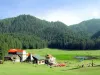 How To Reach Dalhousie From Delhi | Delhi To Dalhousie By Road