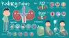 Best Kidney Failure Treatment in Ayurveda – Kidney and Ayurveda