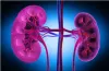 Top 10 Kidney Transplant Doctors In India With Highest Success Rate | Webthinkoutside.com
