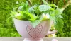  Top 12 Super Ayurvedic Remedies  for Kidney Stone - All Health Clue 