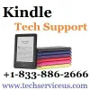 Kindle Frozen