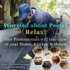 Pest Control Service for Home, Kitchen and Hotels 